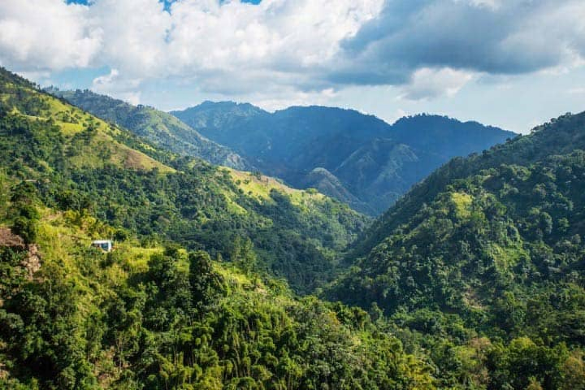https://www.jamaicasupertours.com/media/kO3zn1e2Wq/164/Blue-Mountains_Main.jpg